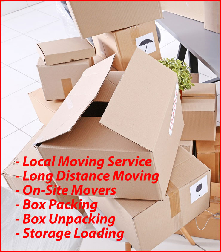 Packers And Movers Noida Sector 166